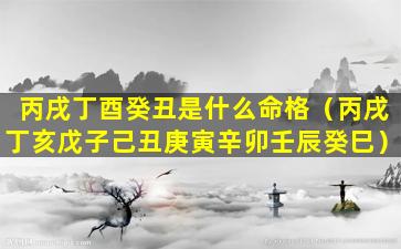 丙戌丁酉癸丑是什么命格（丙戌丁亥戊子己丑庚寅辛卯壬辰癸巳）