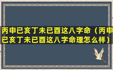 丙申已亥丁未已酉这八字命（丙申已亥丁未已酉这八字命理怎么样）