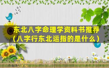 东北八字命理学资料书推荐（八字行东北运指的是什么）