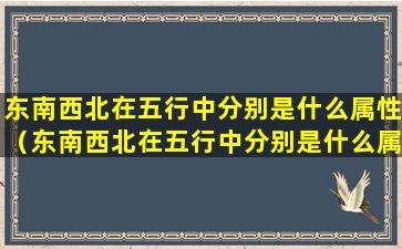 东南西北在五行中分别是什么属性（东南西北在五行中分别是什么属性和属性）