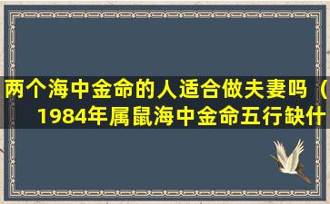 两个海中金命的人适合做夫妻吗（1984年属鼠海中金命五行缺什么）