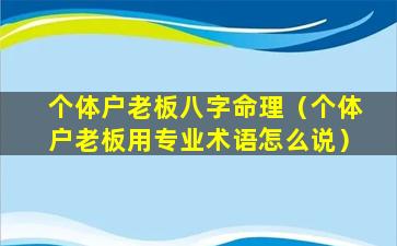 个体户老板八字命理（个体户老板用专业术语怎么说）