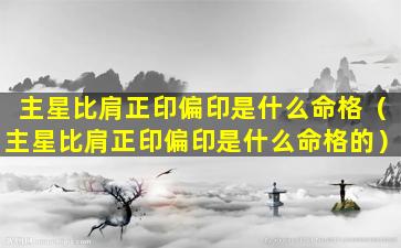 主星比肩正印偏印是什么命格（主星比肩正印偏印是什么命格的）