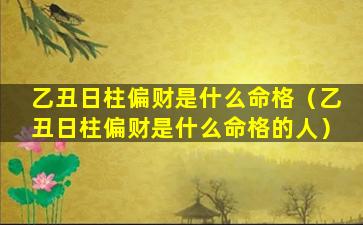 乙丑日柱偏财是什么命格（乙丑日柱偏财是什么命格的人）