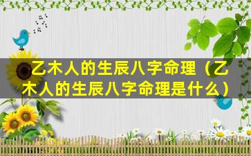 乙木人的生辰八字命理（乙木人的生辰八字命理是什么）