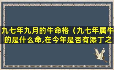 九七年九月的牛命格（九七年属牛的是什么命,在今年是否有添丁之喜）