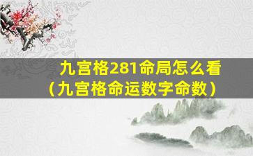 九宫格281命局怎么看（九宫格命运数字命数）