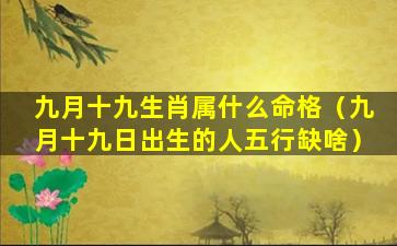 九月十九生肖属什么命格（九月十九日出生的人五行缺啥）