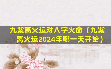 九紫离火运对八字火命（九紫离火运2024年哪一天开始）