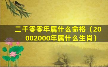 二千零零年属什么命格（20002000年属什么生肖）