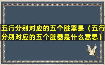 五行分别对应的五个脏器是（五行分别对应的五个脏器是什么意思）