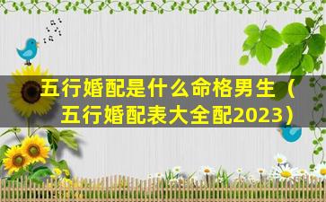 五行婚配是什么命格男生（五行婚配表大全配2023）