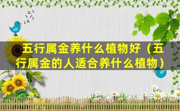 五行属金养什么植物好（五行属金的人适合养什么植物）