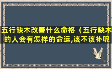 五行缺木改善什么命格（五行缺木的人会有怎样的命运,该不该补呢）