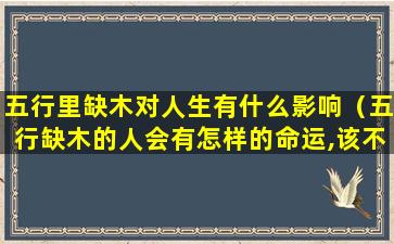 五行里缺木对人生有什么影响（五行缺木的人会有怎样的命运,该不该补呢）