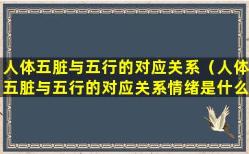 人体五脏与五行的对应关系（人体五脏与五行的对应关系情绪是什么）