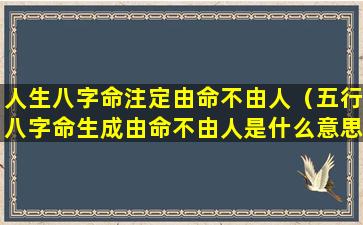 人生八字命注定由命不由人（五行八字命生成由命不由人是什么意思）