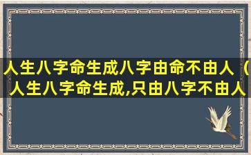 人生八字命生成八字由命不由人（人生八字命生成,只由八字不由人）