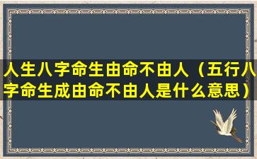 人生八字命生由命不由人（五行八字命生成由命不由人是什么意思）