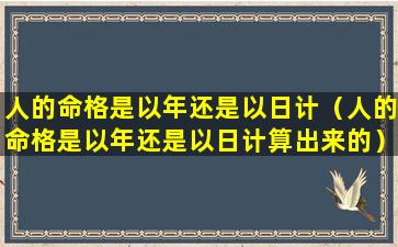 人的命格是以年还是以日计（人的命格是以年还是以日计算出来的）