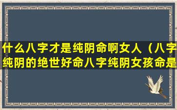 什么八字才是纯阴命啊女人（八字纯阴的绝世好命八字纯阴女孩命是鬼道）