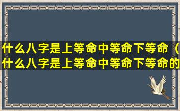 什么八字是上等命中等命下等命（什么八字是上等命中等命下等命的意思）