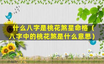 什么八字是桃花煞星命格（八字中的桃花煞是什么意思）