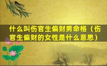 什么叫伤官生偏财男命格（伤官生偏财的女性是什么意思）