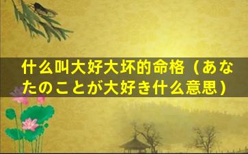 什么叫大好大坏的命格（あなたのことが大好き什么意思）