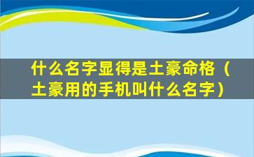 什么名字显得是土豪命格（土豪用的手机叫什么名字）