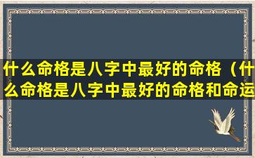 什么命格是八字中最好的命格（什么命格是八字中最好的命格和命运）