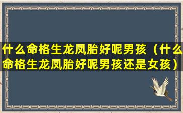 什么命格生龙凤胎好呢男孩（什么命格生龙凤胎好呢男孩还是女孩）