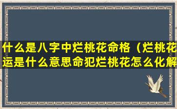 什么是八字中烂桃花命格（烂桃花运是什么意思命犯烂桃花怎么化解）