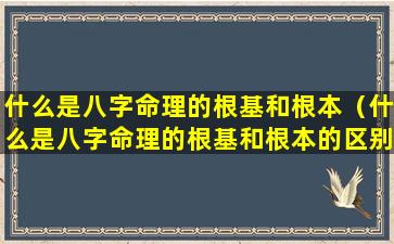 什么是八字命理的根基和根本（什么是八字命理的根基和根本的区别）