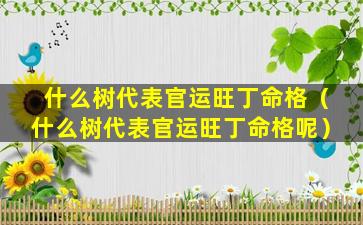 什么树代表官运旺丁命格（什么树代表官运旺丁命格呢）