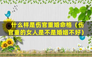 什么样是伤官重婚命格（伤官重的女人是不是婚姻不好）