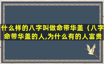 什么样的八字叫做命带华盖（八字命带华盖的人,为什么有的人富贵有的人落魄）