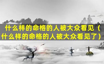 什么样的命格的人被大众看见（什么样的命格的人被大众看见了）