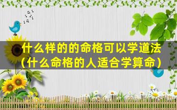 什么样的的命格可以学道法（什么命格的人适合学算命）