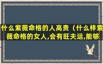 什么紫薇命格的人高贵（什么样紫薇命格的女人,会有旺夫运,能够夫荣子贵）