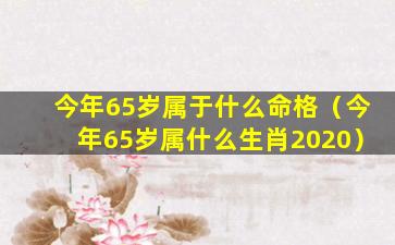 今年65岁属于什么命格（今年65岁属什么生肖2020）