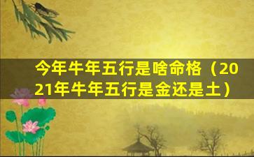 今年牛年五行是啥命格（2021年牛年五行是金还是土）