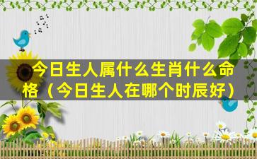 今日生人属什么生肖什么命格（今日生人在哪个时辰好）