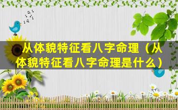 从体貌特征看八字命理（从体貌特征看八字命理是什么）