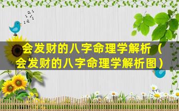 会发财的八字命理学解析（会发财的八字命理学解析图）