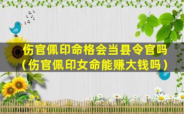 伤官佩印命格会当县令官吗（伤官佩印女命能赚大钱吗）