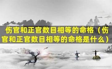 伤官和正官数目相等的命格（伤官和正官数目相等的命格是什么）