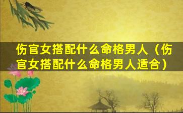 伤官女搭配什么命格男人（伤官女搭配什么命格男人适合）