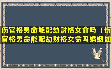 伤官格男命能配劫财格女命吗（伤官格男命能配劫财格女命吗婚姻如何）