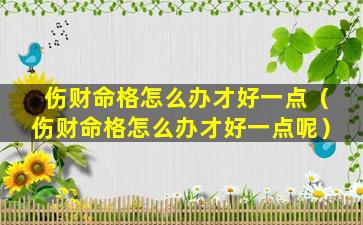 伤财命格怎么办才好一点（伤财命格怎么办才好一点呢）